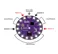 Arduino LilyPad ATmega32U4 In Pakistan