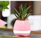 Smart Music Flowerpot Bluetooth Speaker With Colorful LED