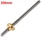 T8 300mmx8mm Screw Threaded Rod With Brass Nut