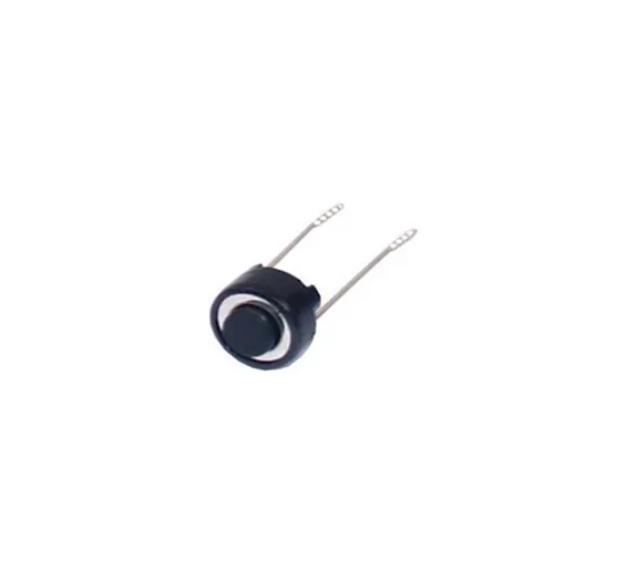 2 PIN Push Button Switch