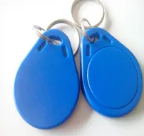 125khz Rfid Tag Key Ring Tag RFID Card In Pakistan 125khz Rfid Tag Key Ring Tag RFID Card In Pakistan