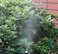 Mist Nozzle 0.6mm Sprayer fogging Nozzle Disinfect Sprinkler 6010